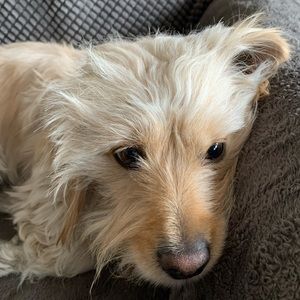 Meet your Posher’s business partner, Ellington.